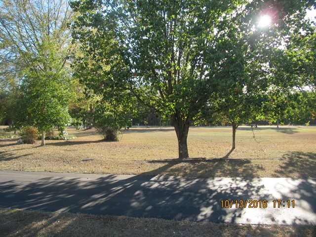 1748 Fred Hall Road Gordon, GA 31031 - Photo 3 of 28 a street view with large trees