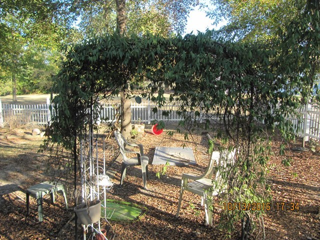 1748 Fred Hall Road Gordon, GA 31031 - Photo 8 of 28 a picture of city view