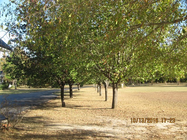 1748 Fred Hall Road Gordon, GA 31031 - Photo 9 of 28 a view of ocean view with large trees