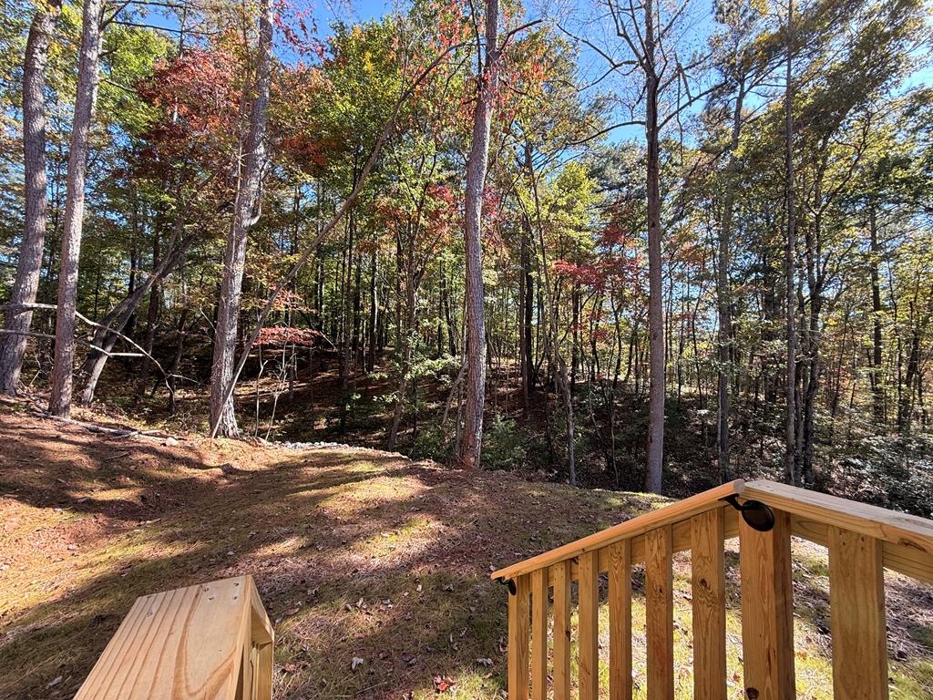 427 Lower Tails Creek Road Ellijay, GA 30540 - Photo 24 of 31 Gallery Image 24