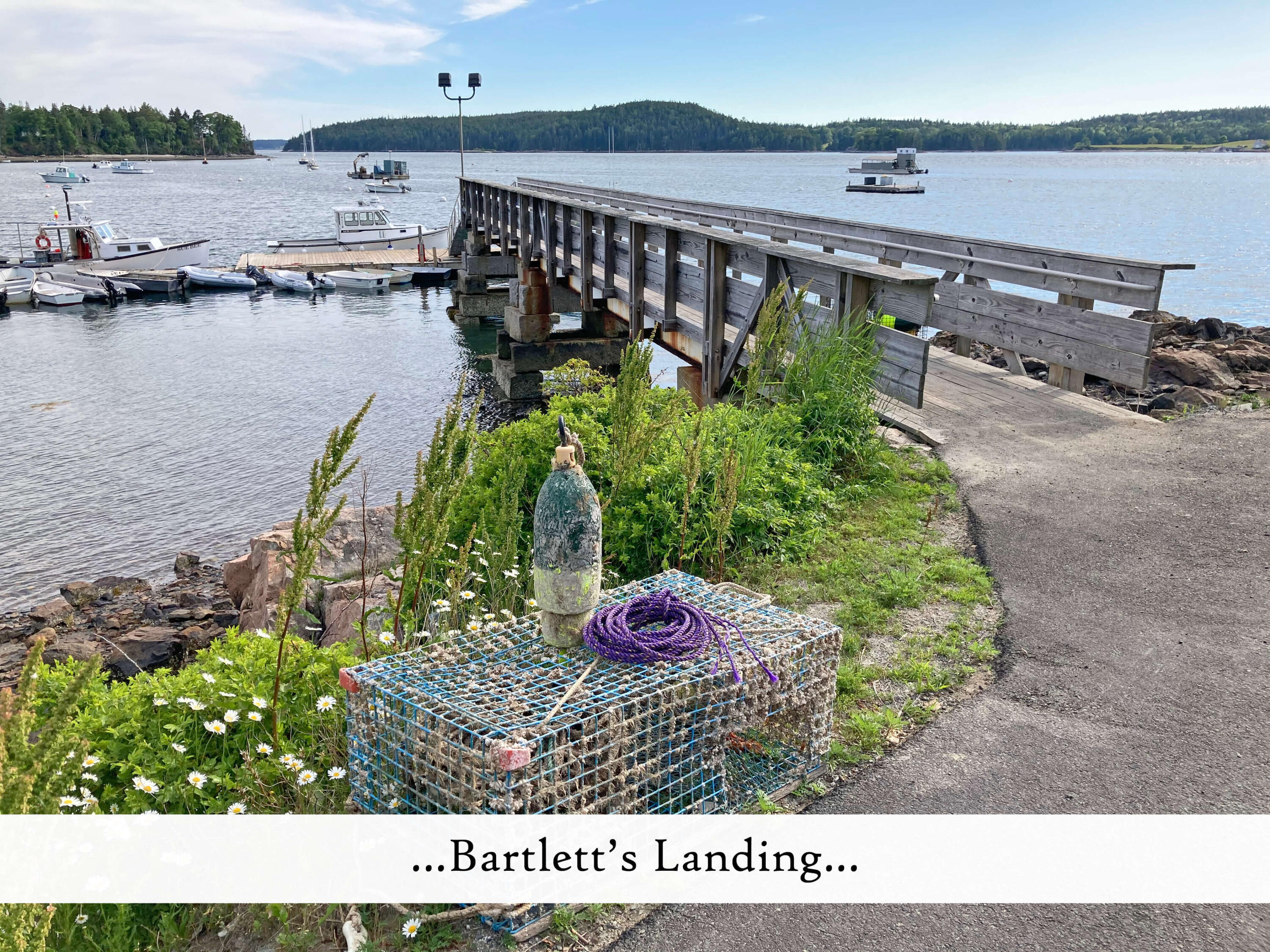 26 Cape Road Tremont, ME 04674 - Photo 111 of 115 zzzzz Bartlett's Landing 1, label