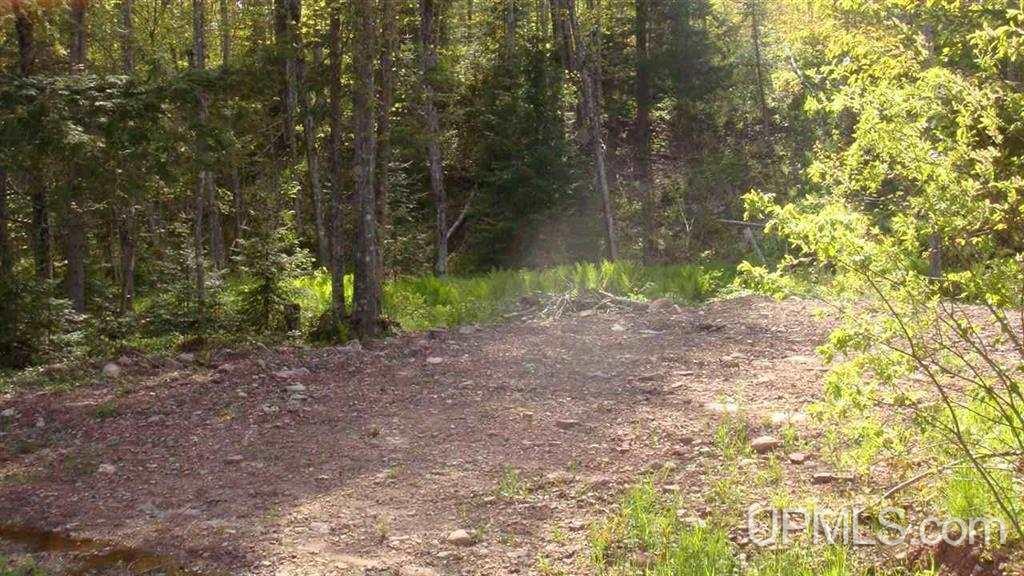 Tbd Rautio Trail & South Entry Road Chassell, MI 49916 - Photo 1 of 2