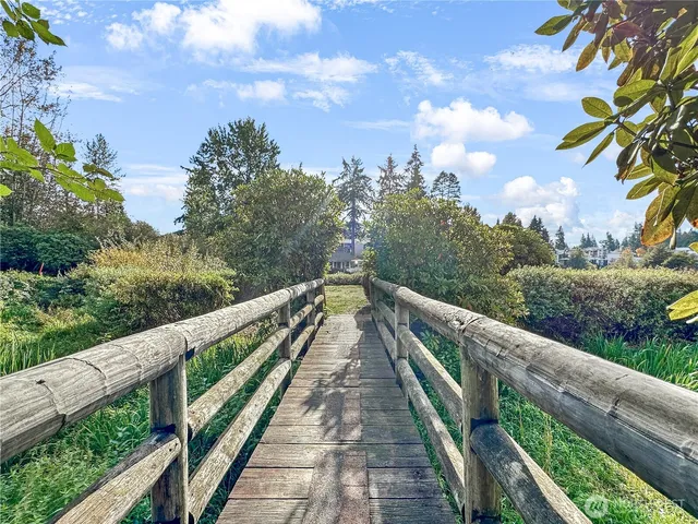a view of a garden with lawn chairs and a fire pit
