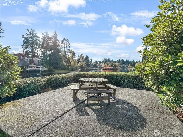 a view of a park with large trees