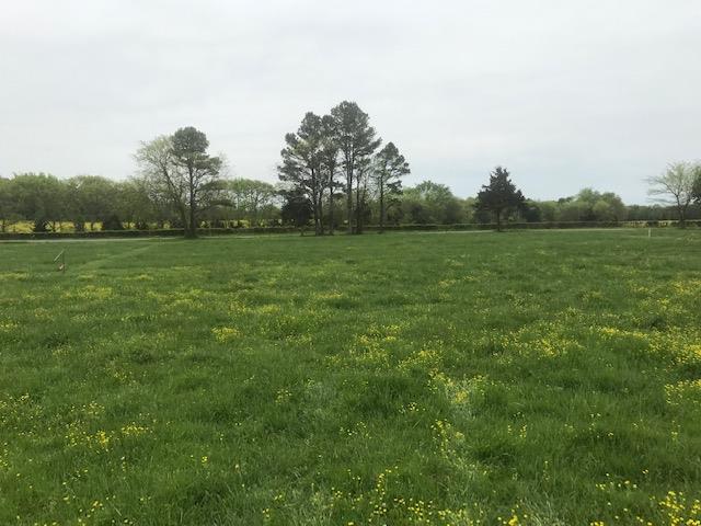 0 Greenwood Road College Grove, TN 37046 - Photo 1 of 22 This will be the view from your front porch.