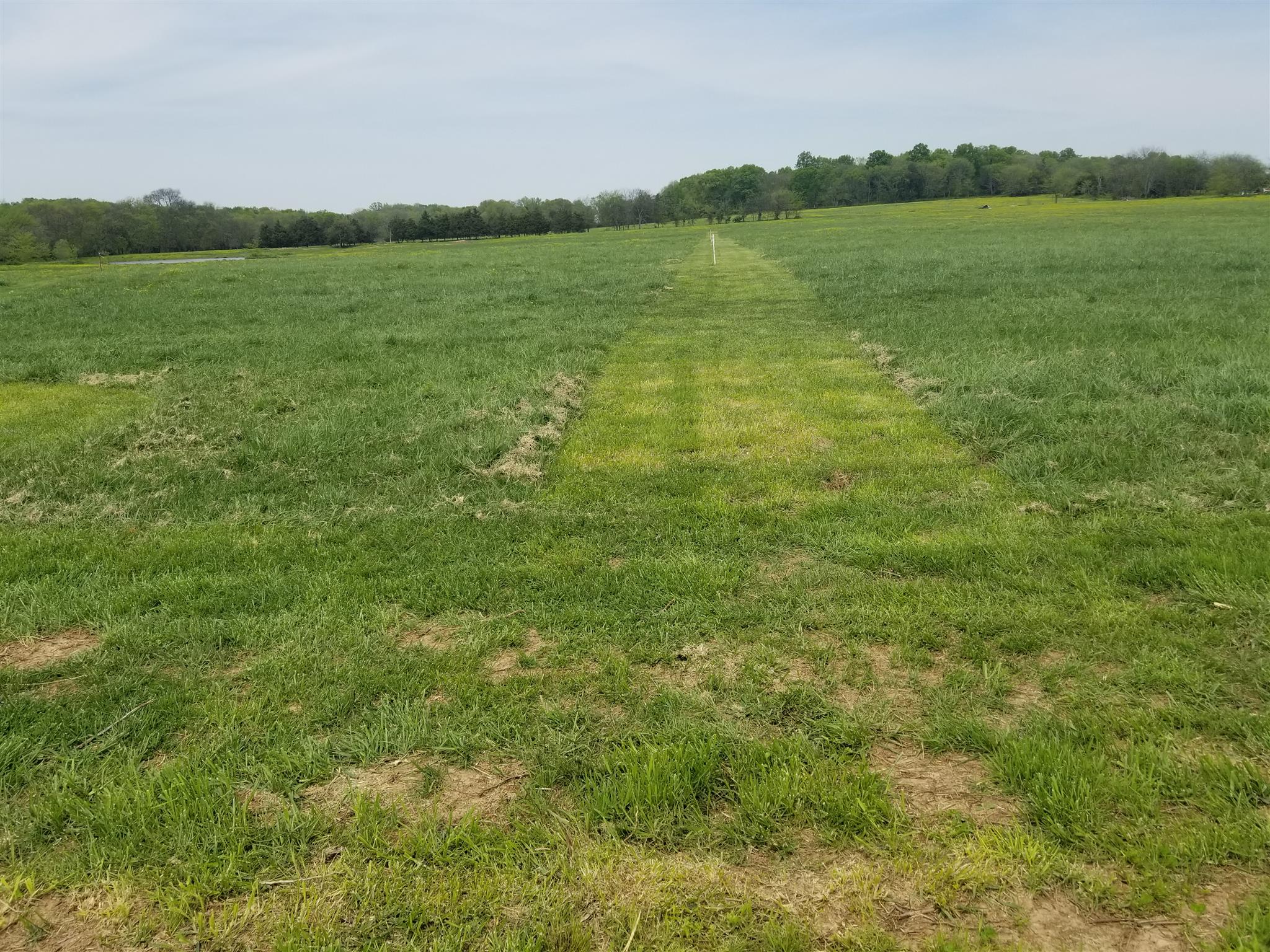 0 Greenwood Road College Grove, TN 37046 - Photo 2 of 22 Nice level to gently rolling pastureland.