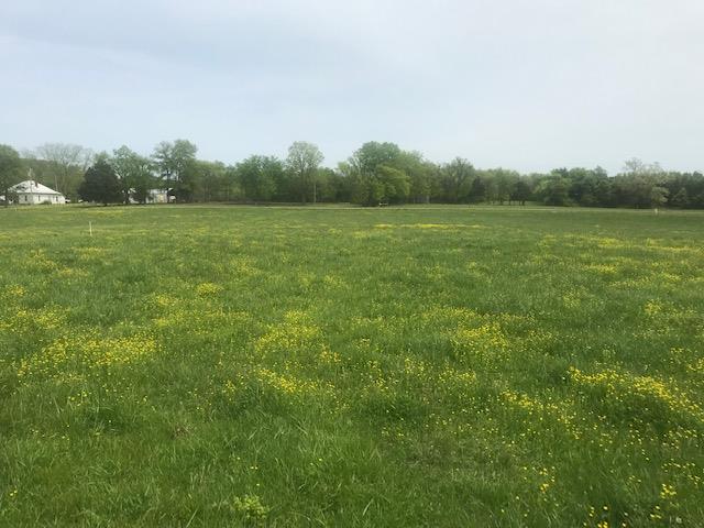 0 Greenwood Road College Grove, TN 37046 - Photo 16 of 22 Gallery Image 16