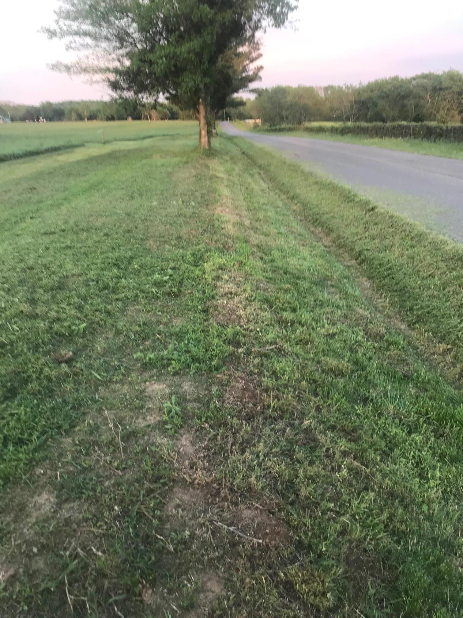 0 Greenwood Road College Grove, TN 37046 - Photo 17 of 22 251 feet of nice road frontage.