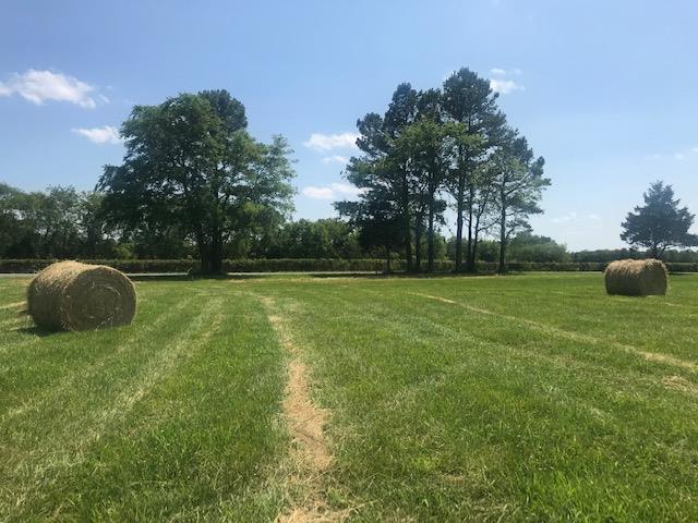 0 Greenwood Road College Grove, TN 37046 - Photo 19 of 22 Gallery Image 19