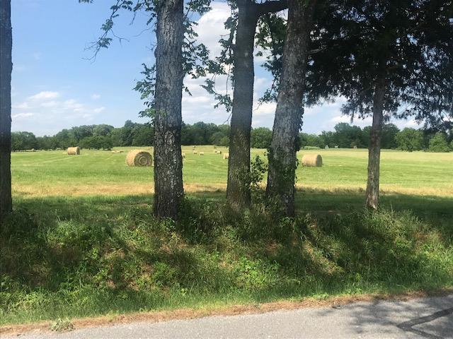 0 Greenwood Road College Grove, TN 37046 - Photo 20 of 22 Gallery Image 20