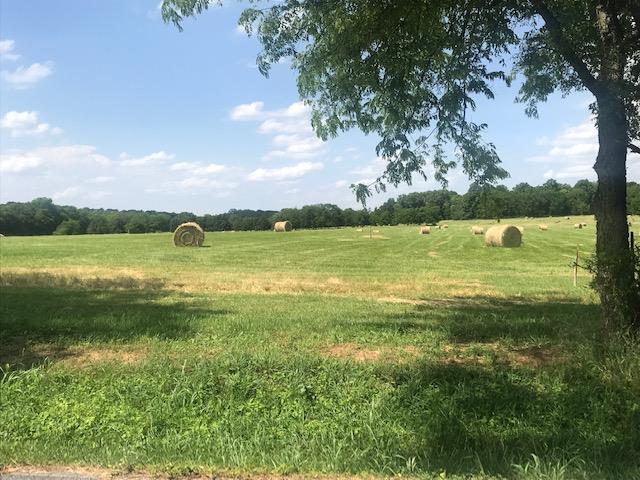 0 Greenwood Road College Grove, TN 37046 - Photo 21 of 22 Gallery Image 21