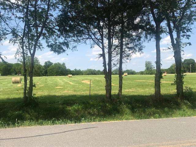0 Greenwood Road College Grove, TN 37046 - Photo 22 of 22 Gallery Image 22