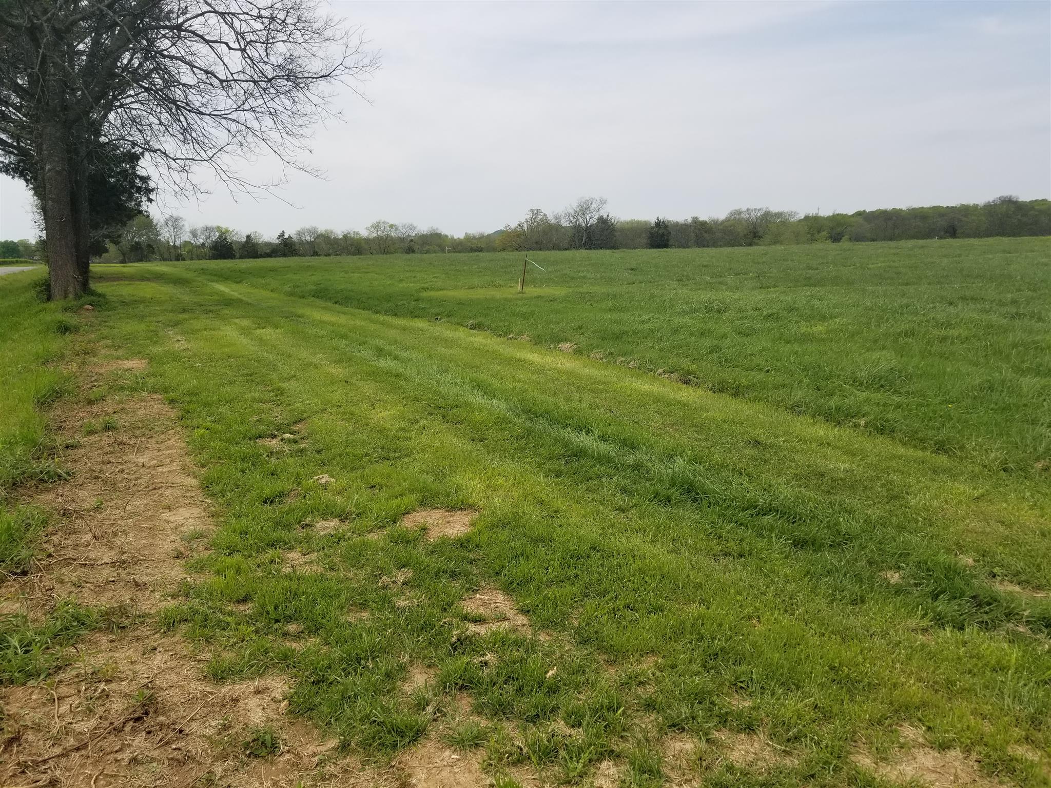 0 Greenwood Road College Grove, TN 37046 - Photo 6 of 22 Gallery Image 6