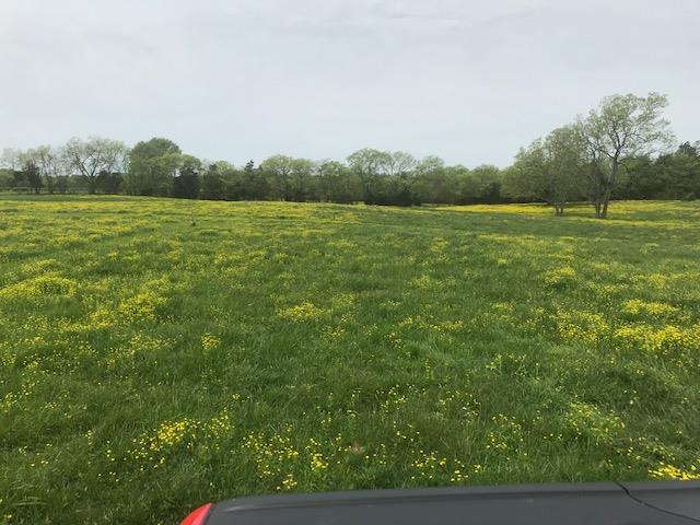 0 Greenwood Road College Grove, TN 37046 - Photo 10 of 22 Gallery Image 10