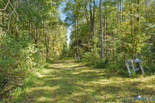 15305 Keelers Mill Road Dewitt, VA 23840 - Photo 35 of 38 a view of a yard