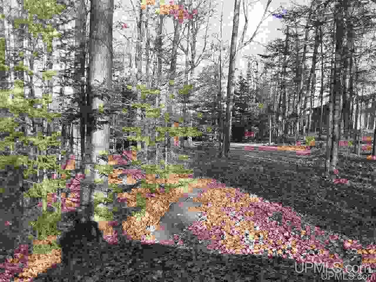 10895 Snyder Road Woodruff, WI 54568 - Photo 20 of 34 Gallery Image 20