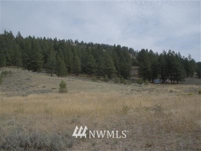 -tbd Chewiliken Valley Road Riverside, WA 98849 - Photo 1 of 1 Gallery Image 1