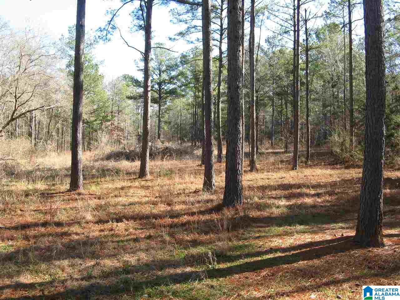 Cane Creek Lane, Unit 2 Sylacauga, AL 35151 - Photo 1 of 2