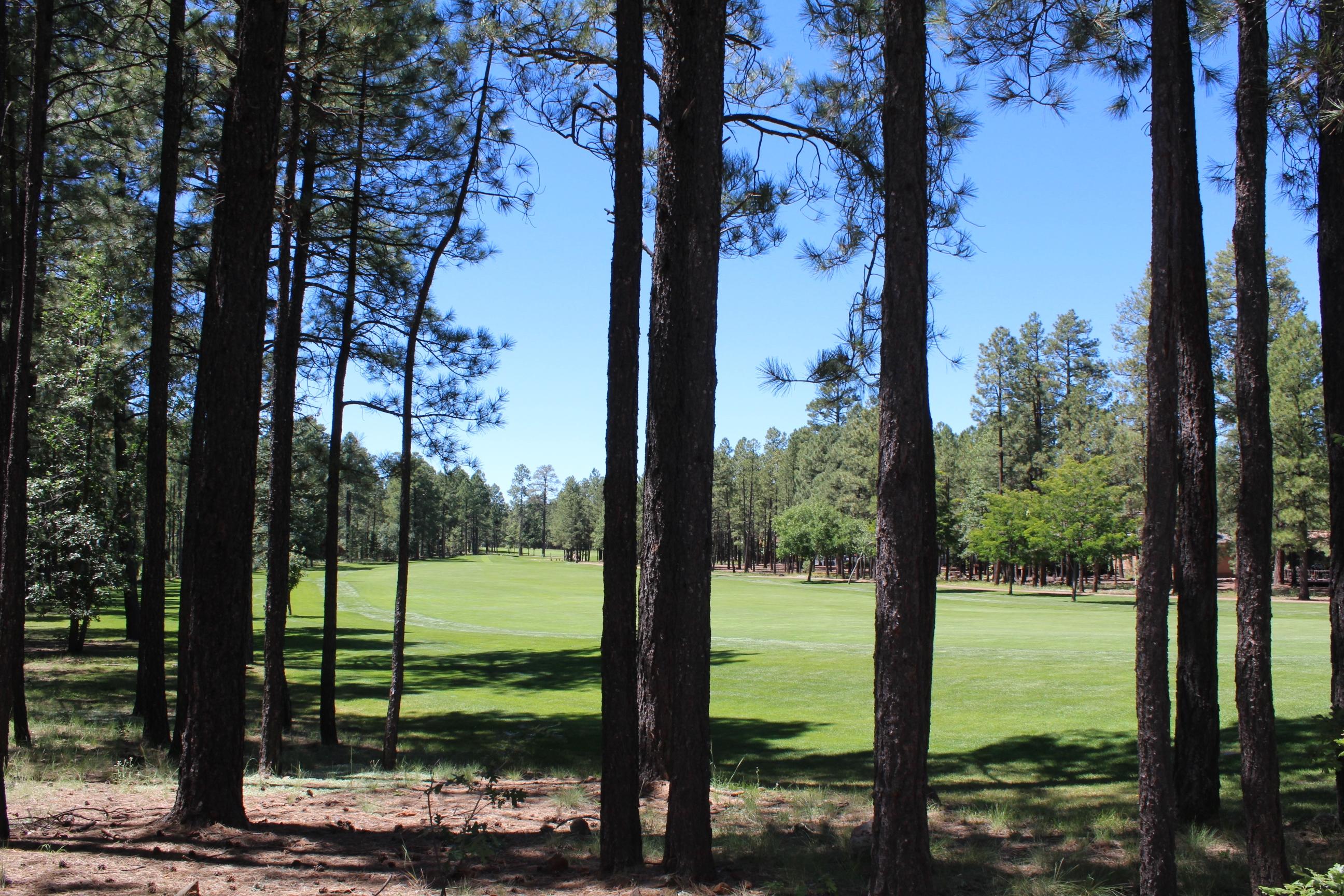7262 White Oak Road Pinetop, AZ 85935 - Photo 5 of 8 Gallery Image 5
