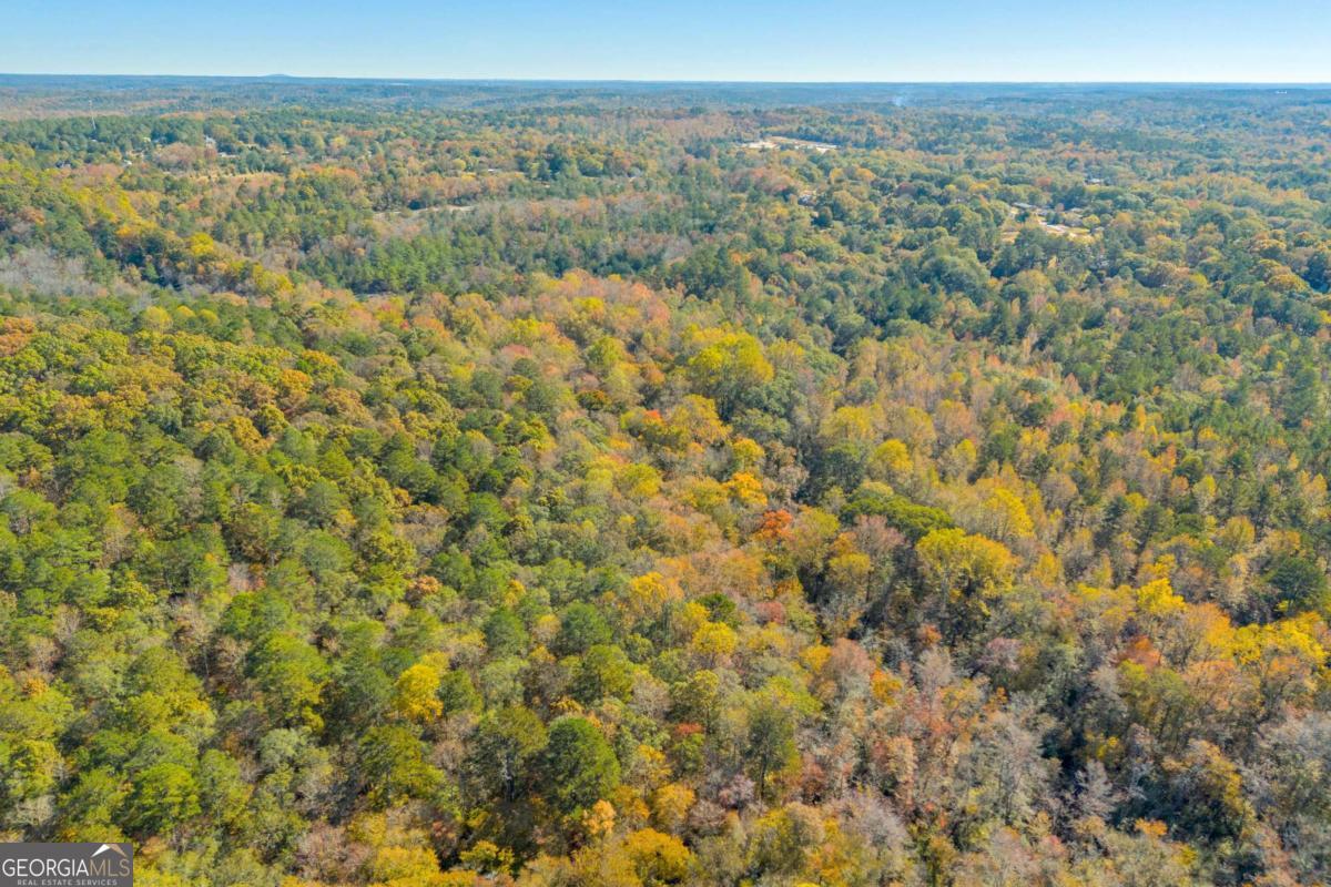 2280 Wilson Road Northwest Conyers, GA 30012 - Photo 17 of 39 a view of a city with lush green forest