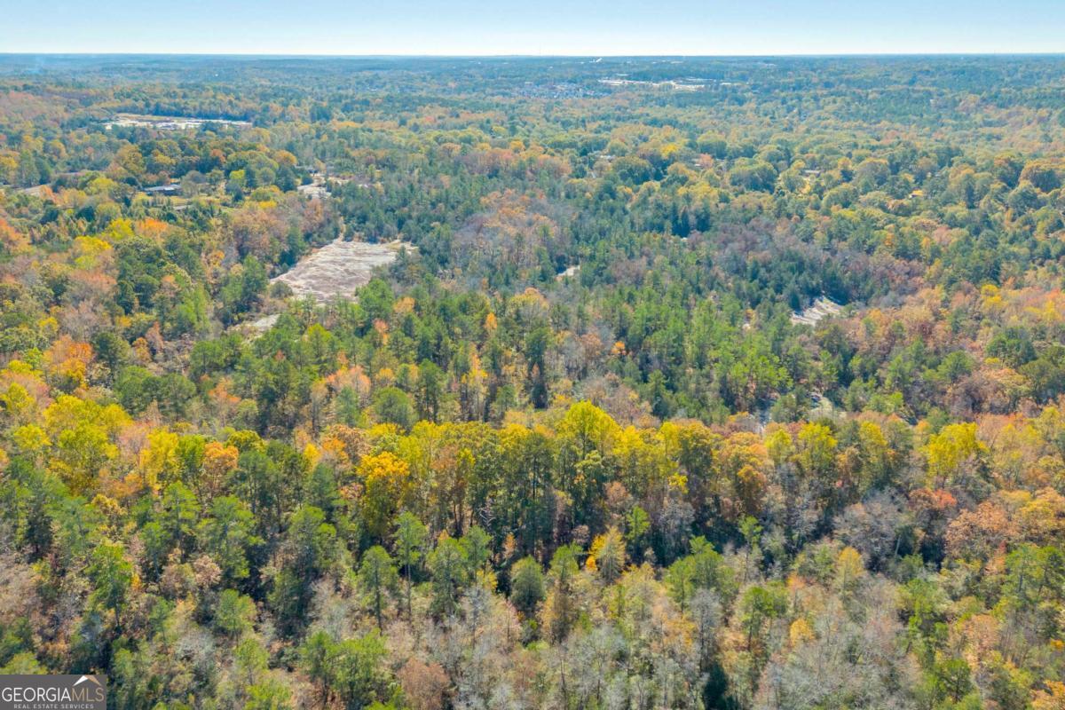 2280 Wilson Road Northwest Conyers, GA 30012 - Photo 19 of 39 an aerial view of forest