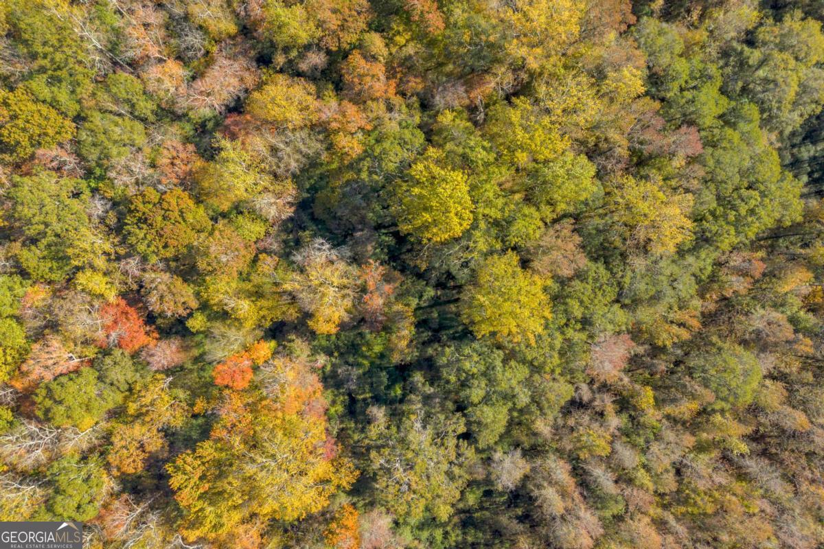 2280 Wilson Road Northwest Conyers, GA 30012 - Photo 23 of 39 a view of a yard