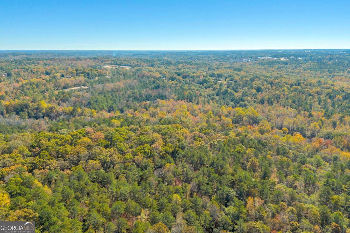 2280 Wilson Road Northwest Conyers, GA 30012 - Photo 24 of 39 a view of a city with lush green forest