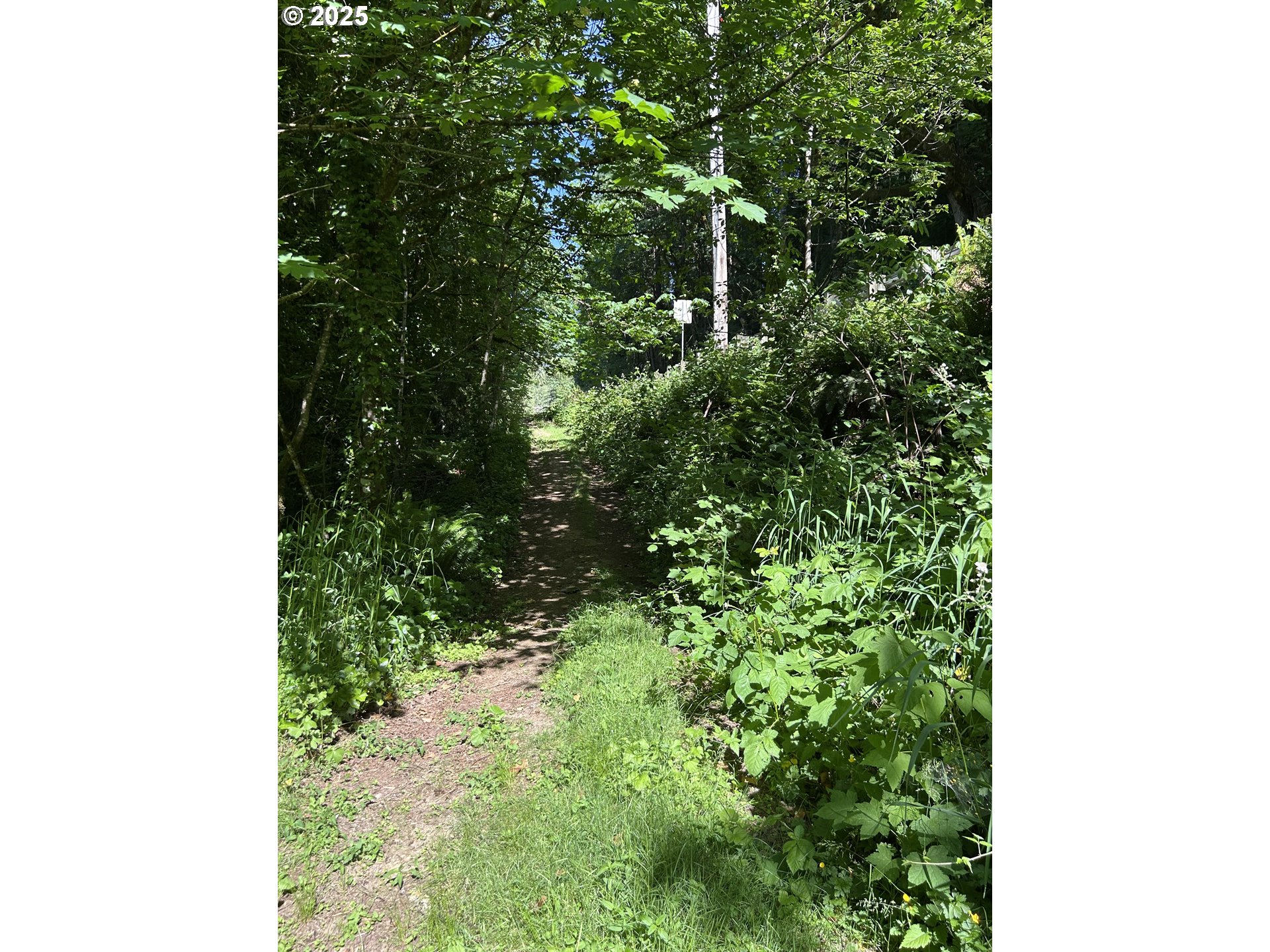 2 East Brightwood Loop Road Brightwood, OR 97011 - Photo 13 of 17