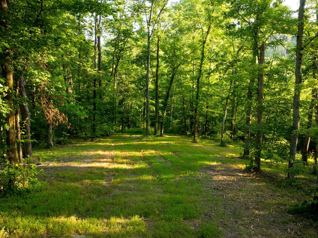 3809 Boston Theta Road Columbia, TN 38401 - Photo 64 of 74