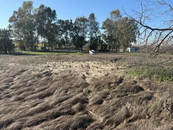 a view of outdoor space with trees
