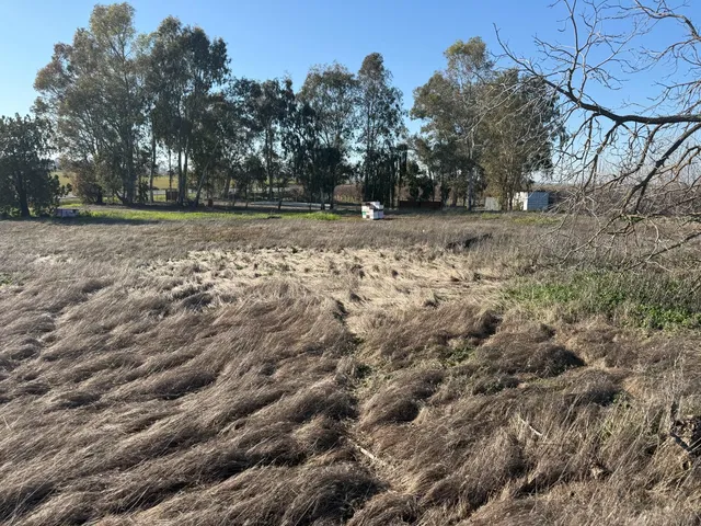 a view of outdoor space with trees