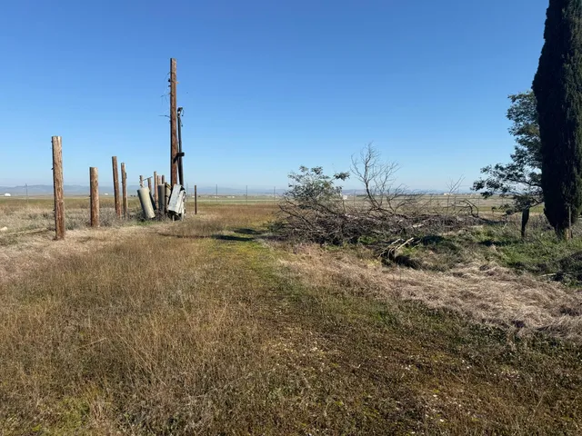 a view of a lake with a palm tree