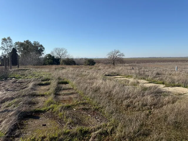a view of a dry yard with trees