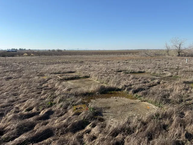 a view of a dry yard with wooden fence