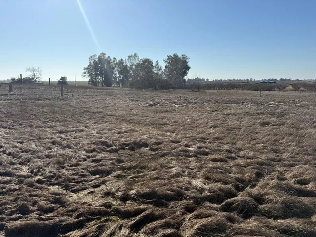 a view of a field with trees in background