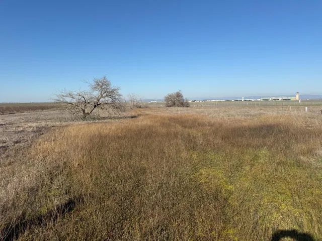 a view of beach and ocean