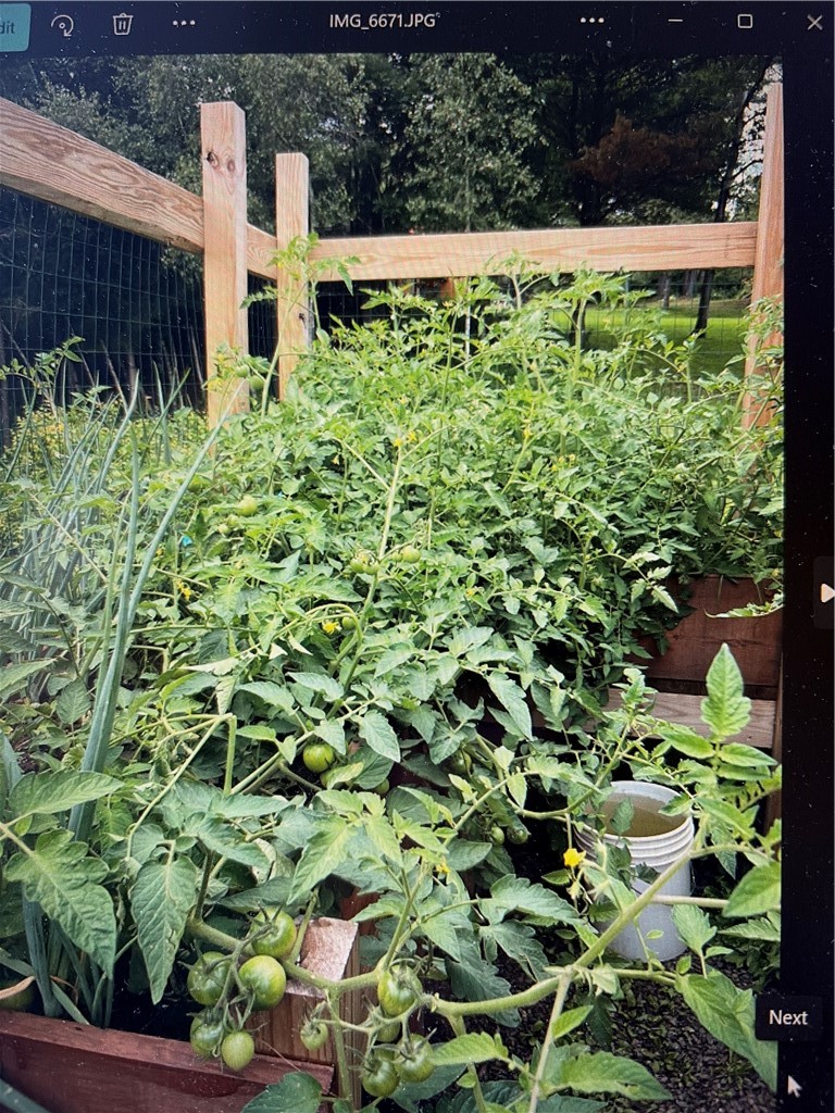 37 Long Hill Road Afton, NY 13730 - Photo 38 of 45