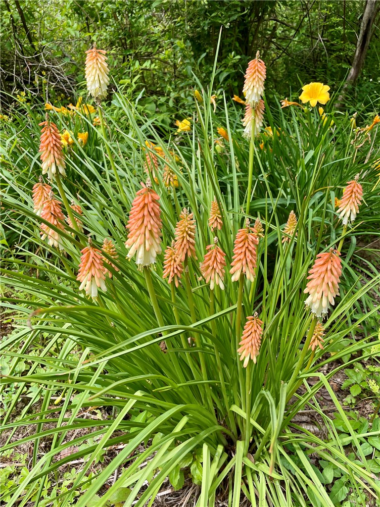 37 Long Hill Road Afton, NY 13730 - Photo 39 of 45