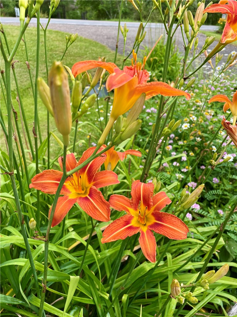 37 Long Hill Road Afton, NY 13730 - Photo 40 of 45