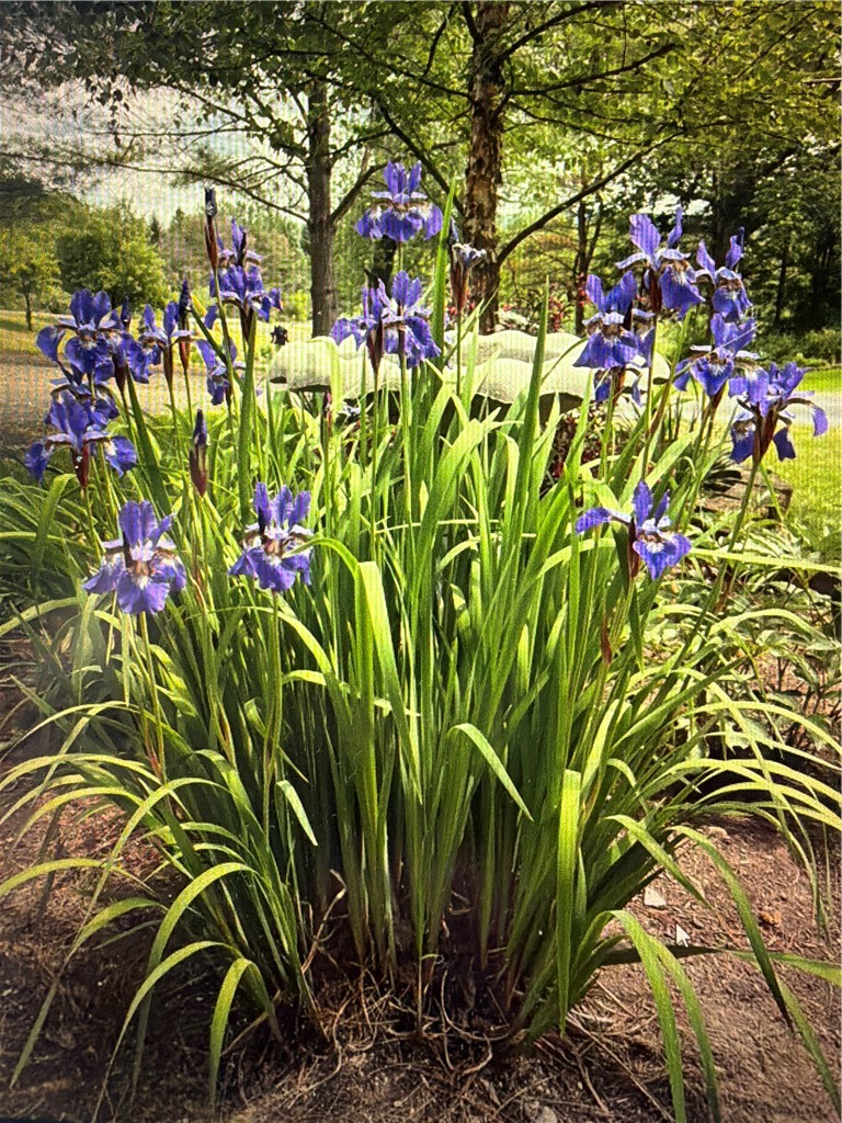 37 Long Hill Road Afton, NY 13730 - Photo 41 of 45