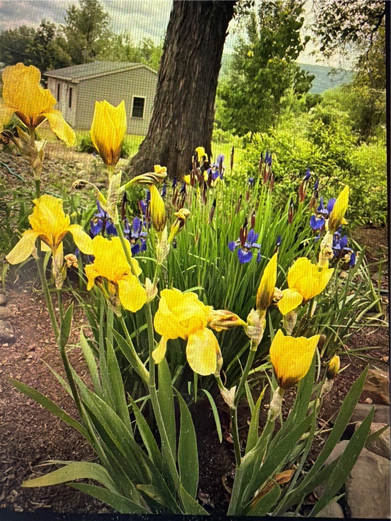 37 Long Hill Road Afton, NY 13730 - Photo 42 of 45