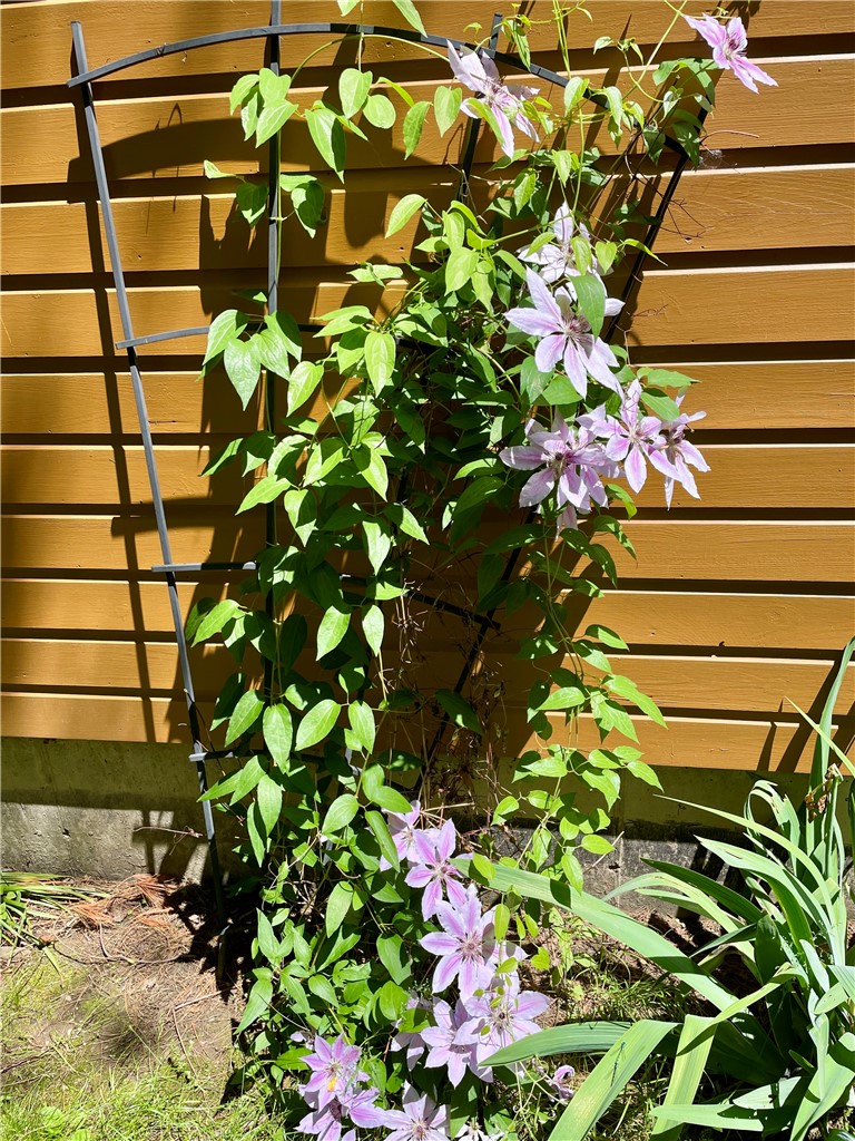 37 Long Hill Road Afton, NY 13730 - Photo 44 of 45