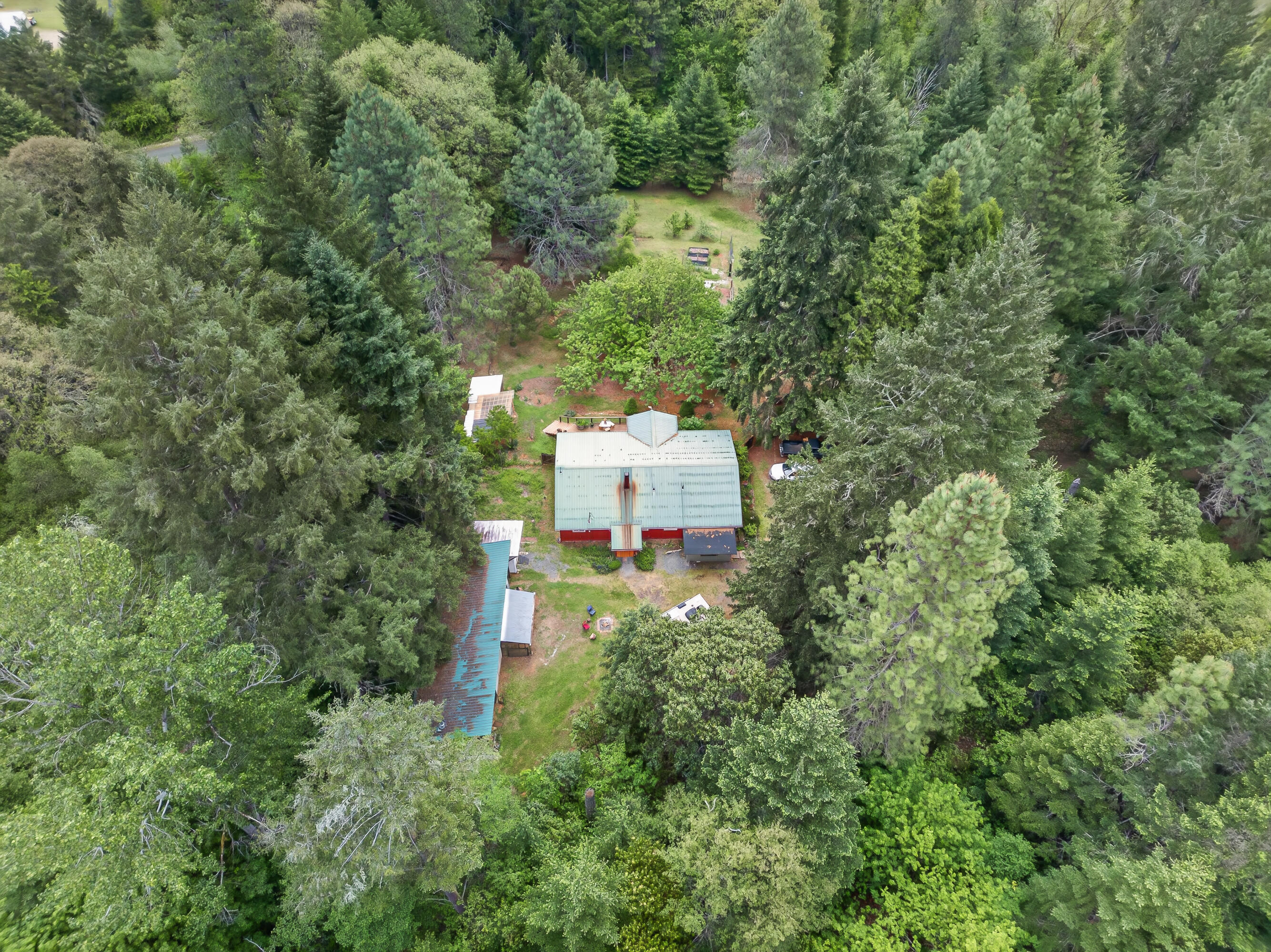 181 Brimstone Road Wolf Creek, OR 97497 - Photo 63 of 72 04-5
