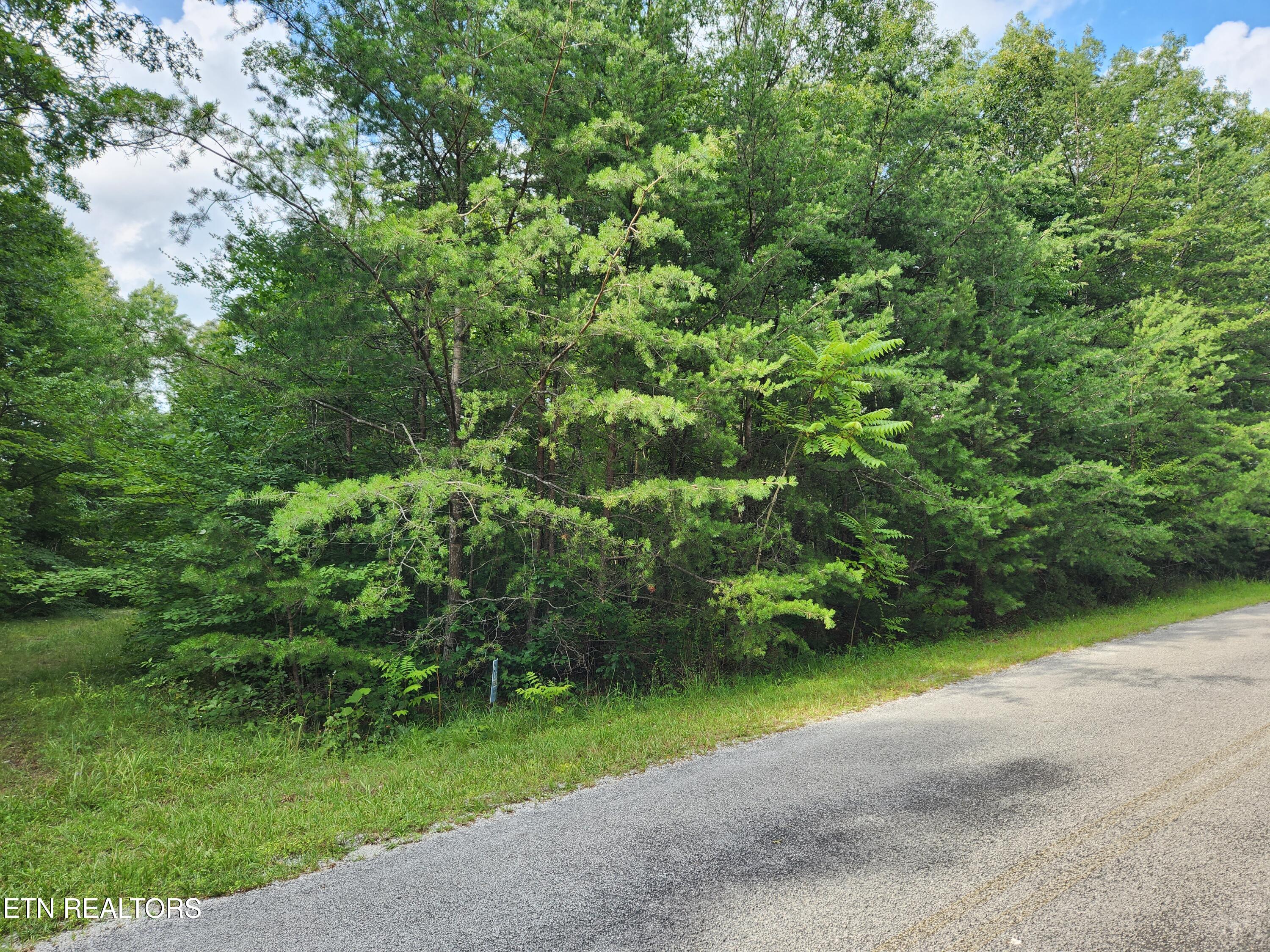 218 Malvern Road Crossville, TN 38558 - Photo 1 of 7 20230721_165726