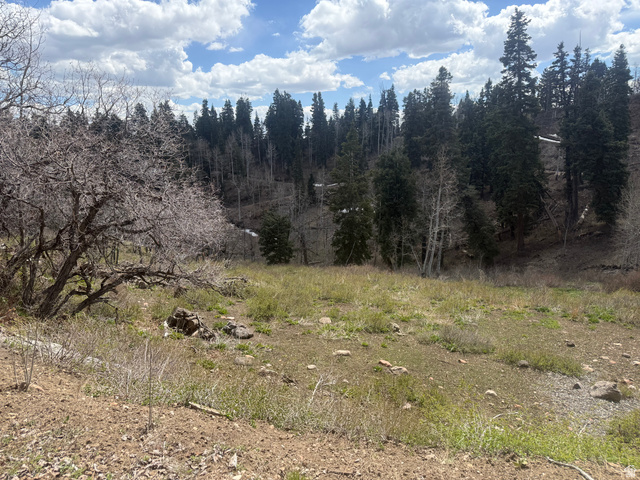 2211 Pine Loop Road, Unit 64 Coalville, UT 84017 - Photo 5 of 20 View of undeveloped land