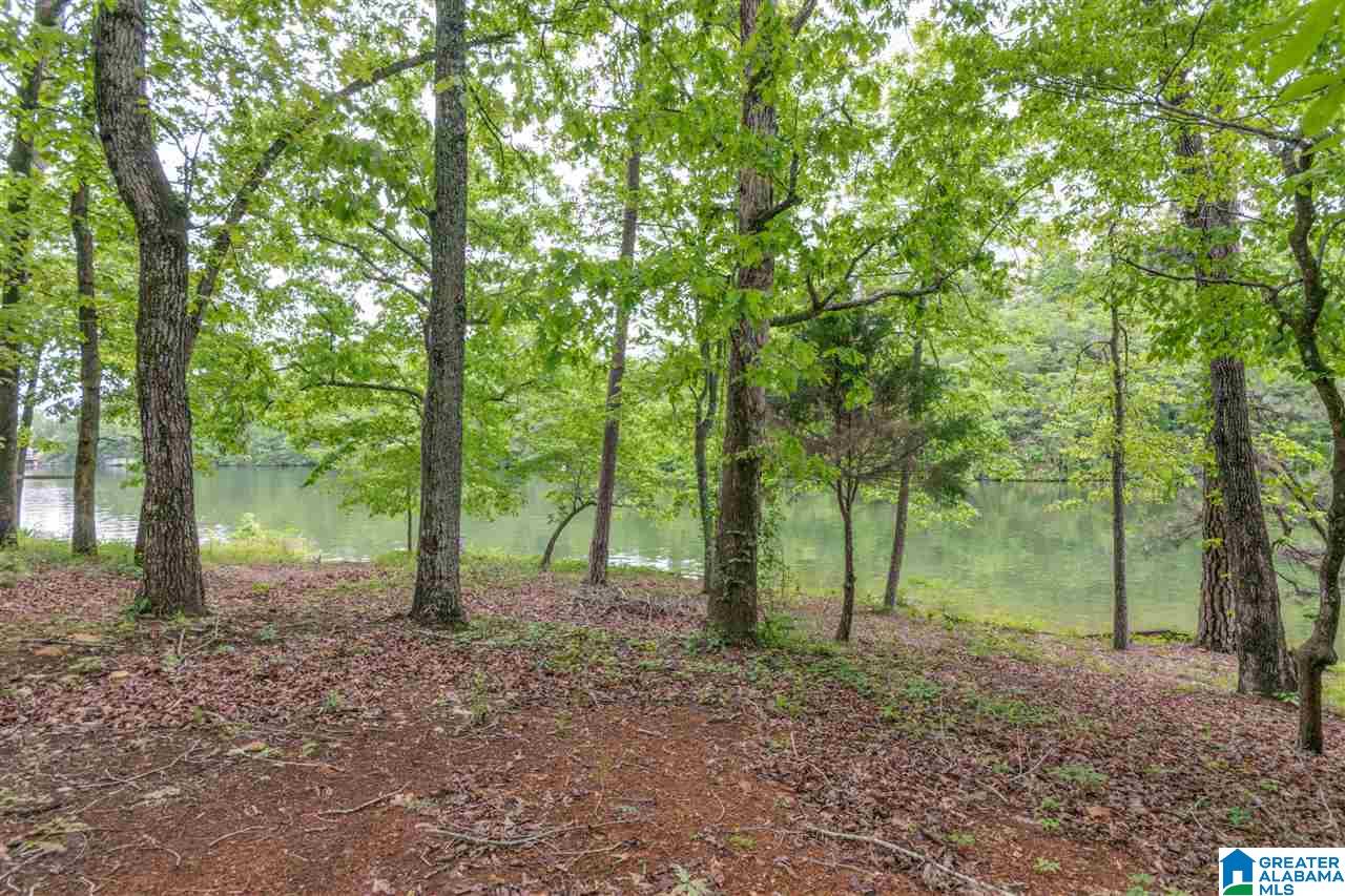 1631 County Road 485 Clanton, AL 35046 - Photo 15 of 15