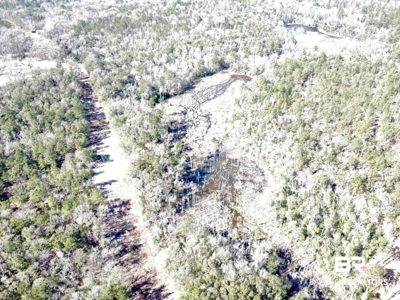 0 Dixon Road Bay Minette, AL 36507 - Photo 16 of 50