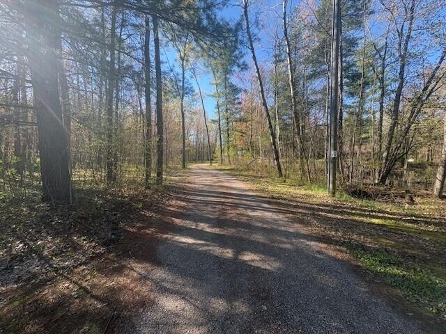 2779 19 Mile Road Marion, MI 49665 - Photo 22 of 24 tw28