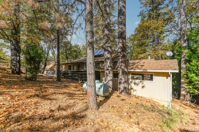 a view of a yard with a tree