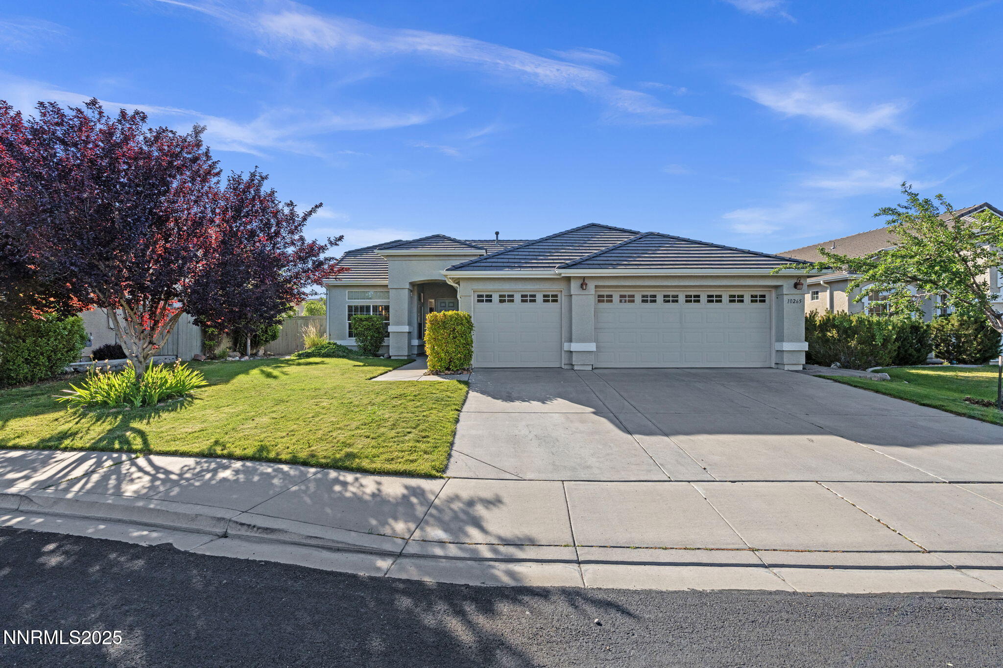 10265 Donnay Court Reno, NV 89521 - Photo 2 of 41 1-web-or-mls-DSC09722
